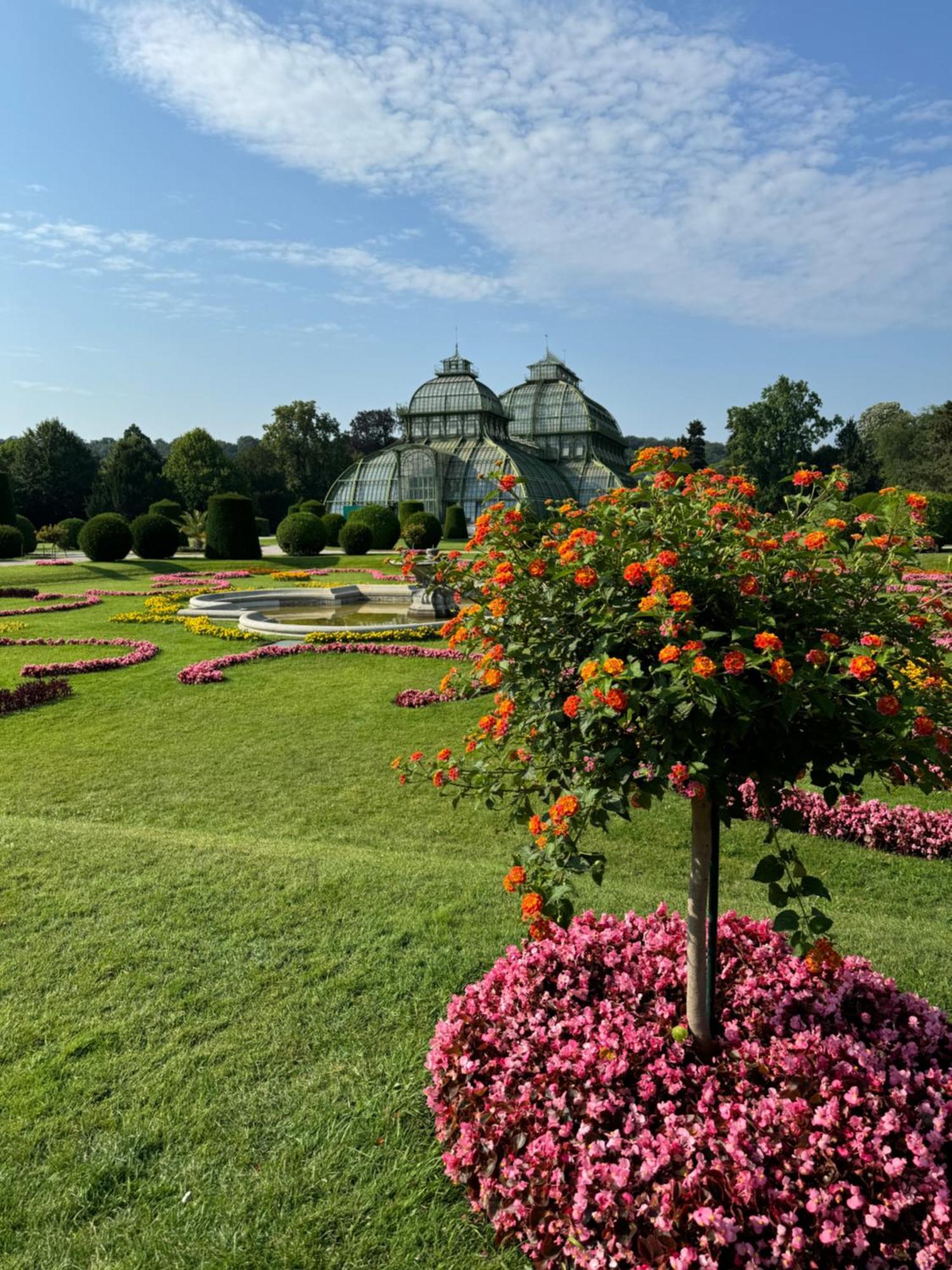 City Apartment Nahe Schoenbrunn 13 Viyana Dış mekan fotoğraf